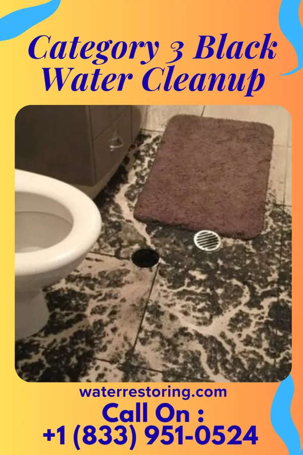 Category 3 Black Water Cleanup in Glen Ullin, ND