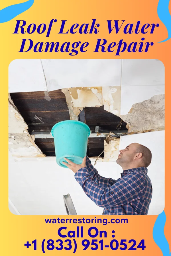 Roof Leak Water Damage Repair in Glen Ullin, ND